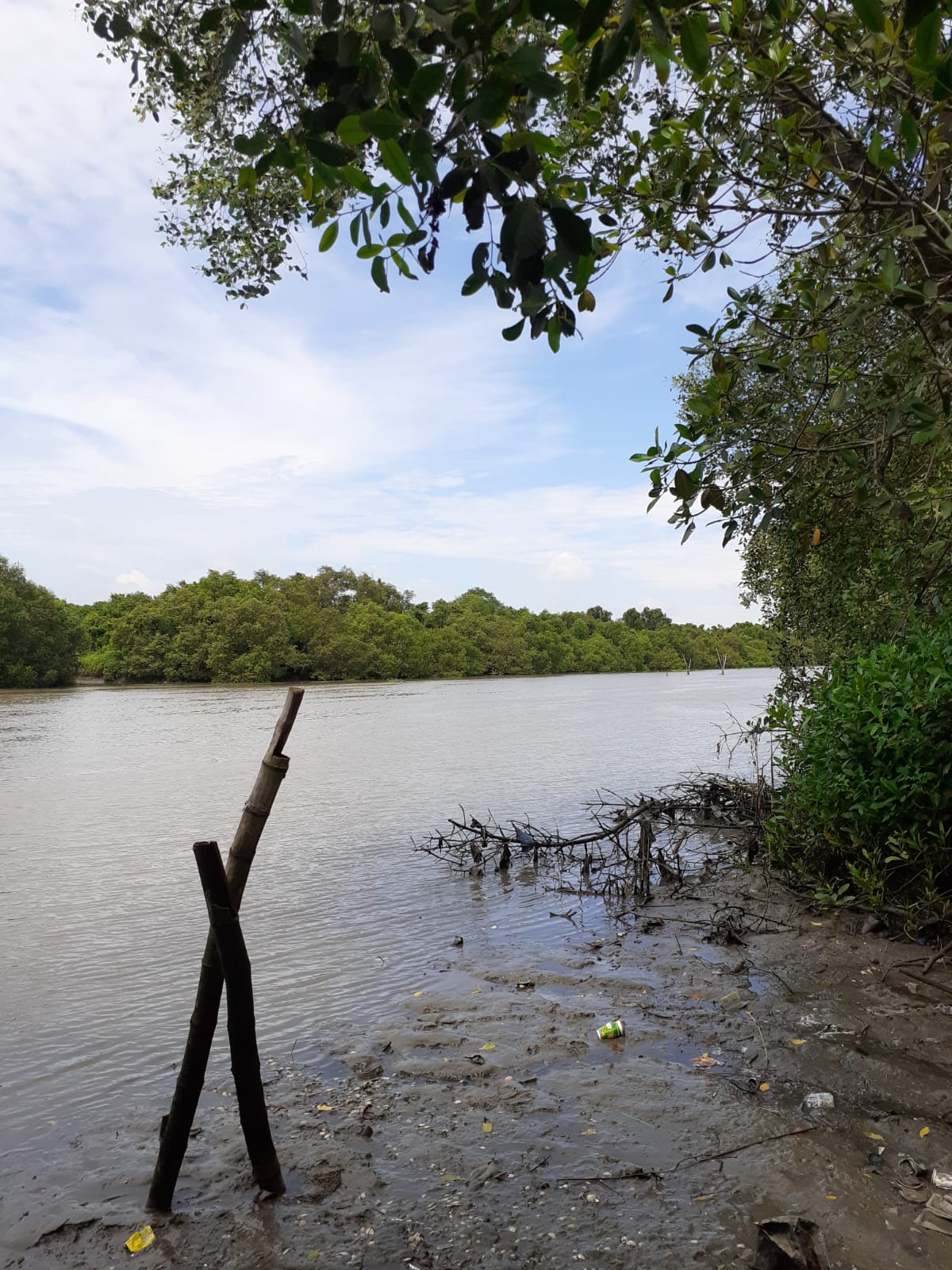 Sungai di Dusun Kepetingan. Sumber: Dokumentasi Pribadi