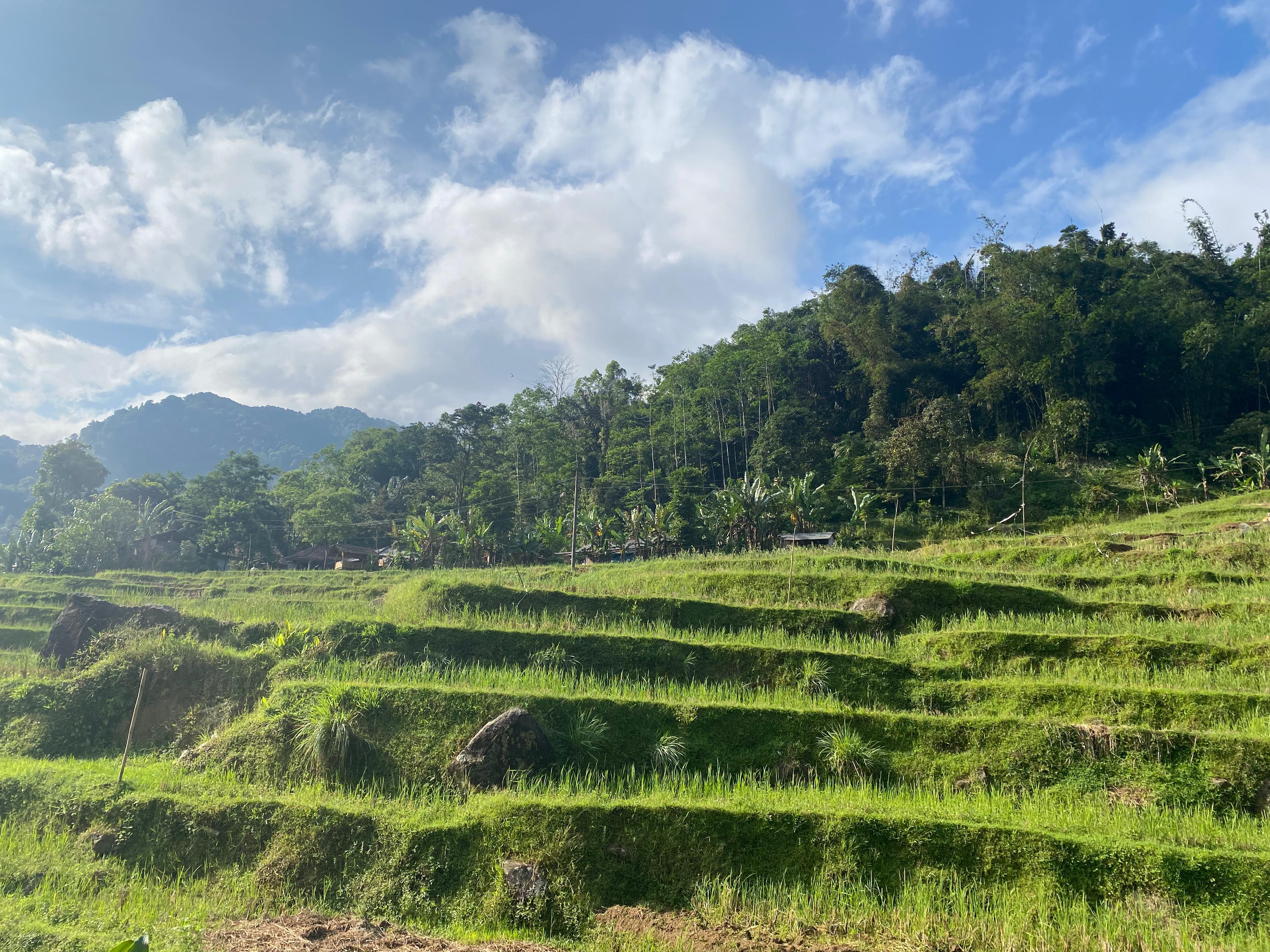 Landscape Persawahan Dan Langit Biru Dari Desa Babakan Hegar Manah. Adipatra Kenaro