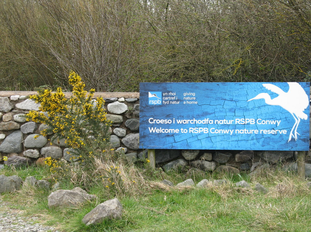RSPB