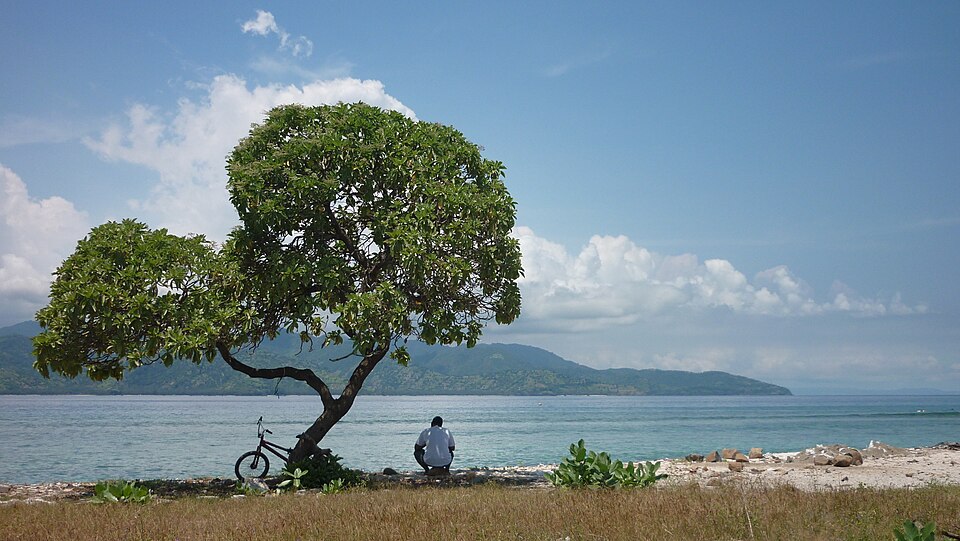 Sumber: Wikimedia Commons CC-BY-SA-3.0.