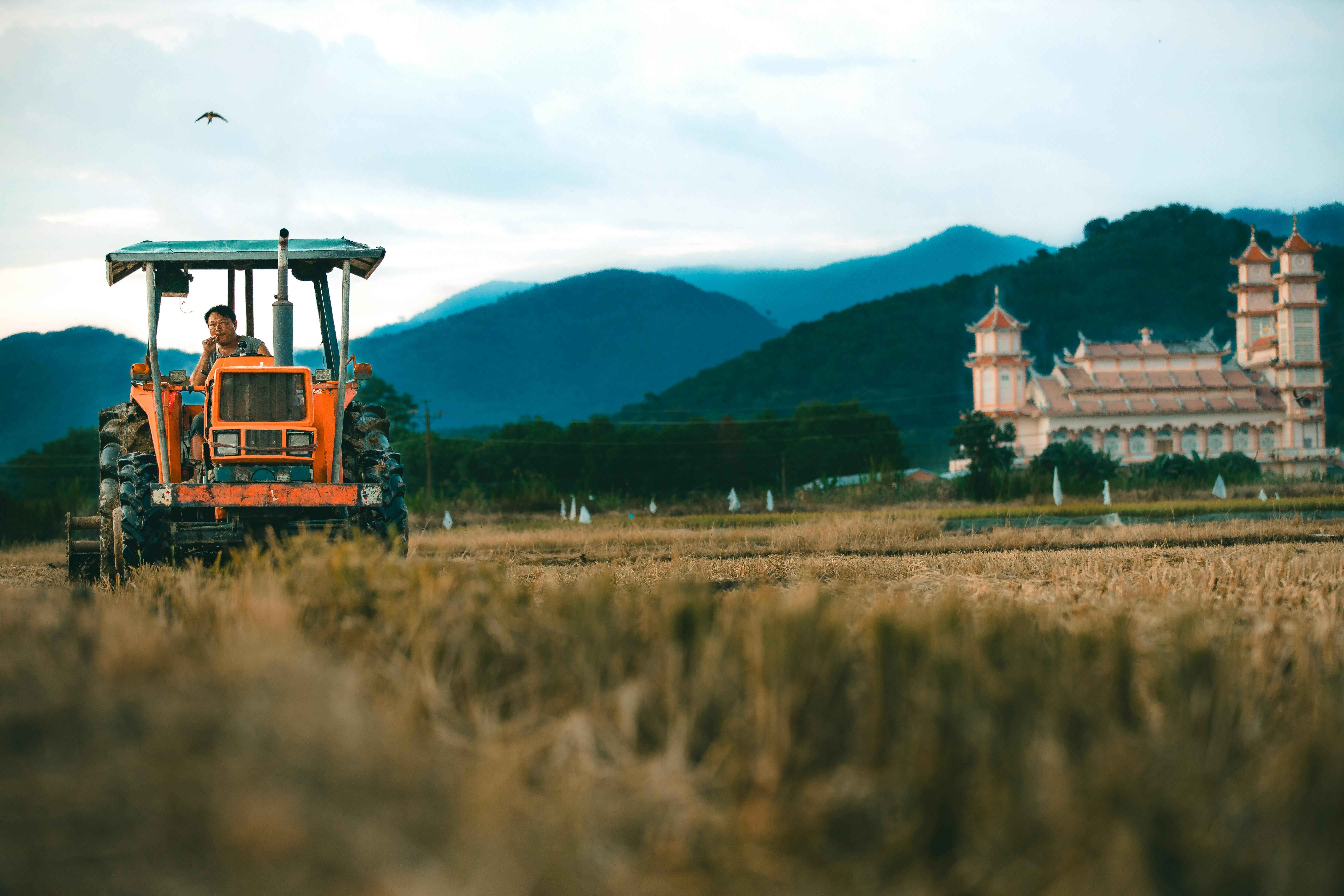 Pexels | Hiếu Lê