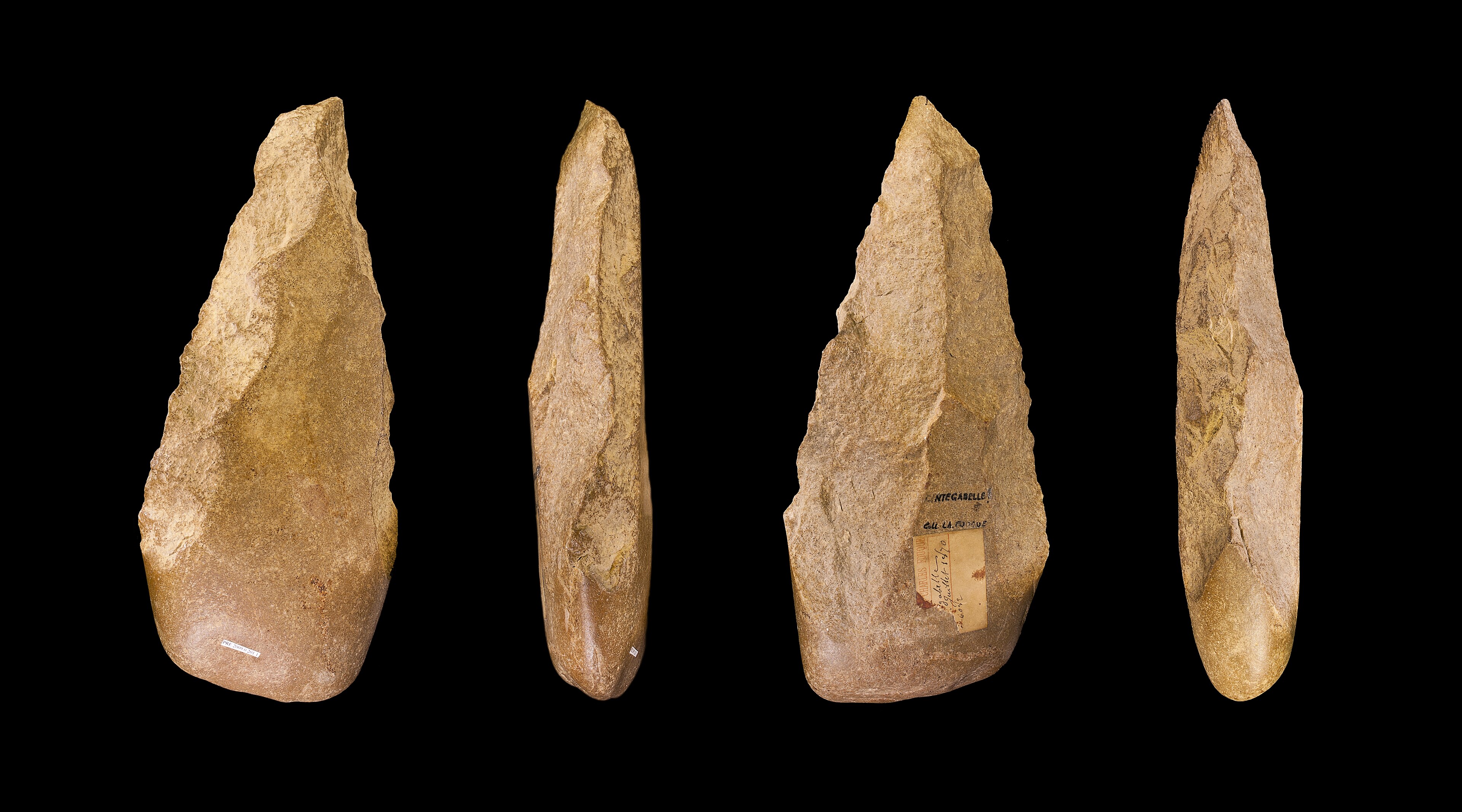 Kapak Genggam (Pebble) | Wikimedia Commons | Didier Descouens - Muséum de Toulouse
