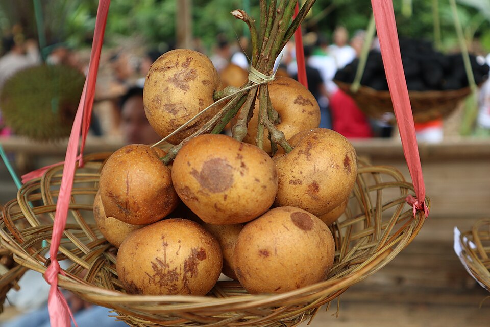 25 Buah Khas Kalimantan, Salah Satunya Buah Kapul yang Mirip Manggis | Wikimedia Commons @Ezagren