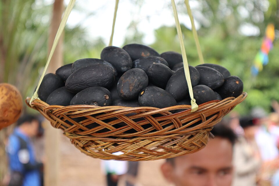 Buah Kemayau, Buah Khas Kalimantan Serupa Anggur Bercita Rasa Mentega | Wikimedia Commons @Ezagren