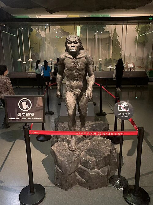 Homo Erectus | Sumber: Wikimedia Commons @Nishino Asuka