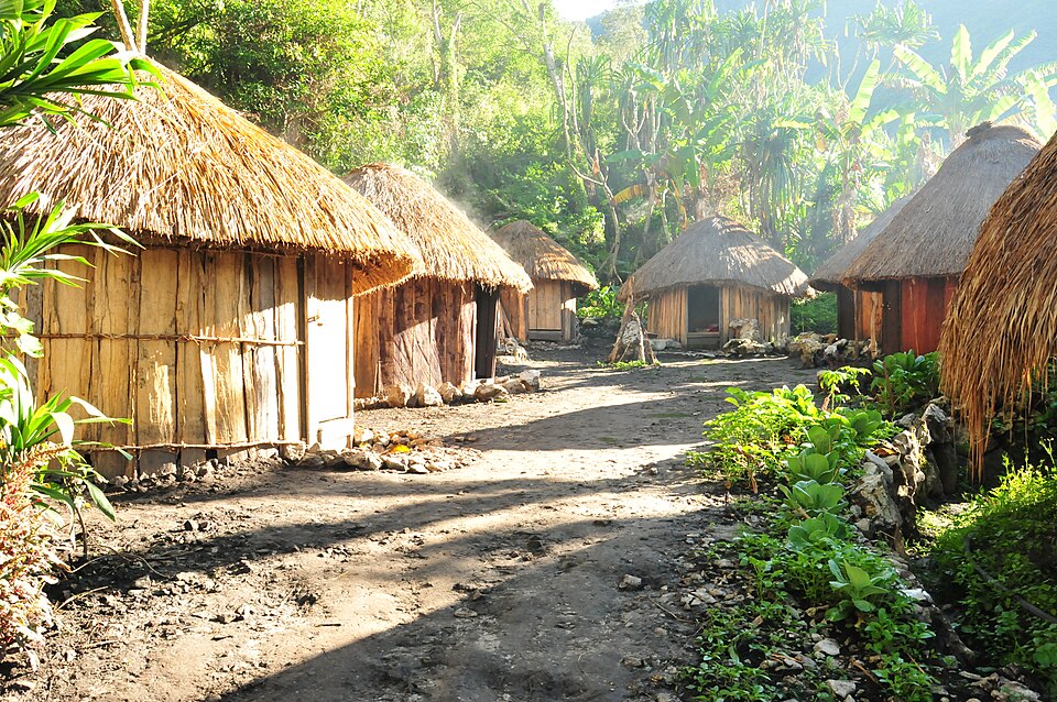 Gambar Rumah Honai dalam Komplek Hunian Masyarakat Papua | Wikimedia Commons @Irfantraveller