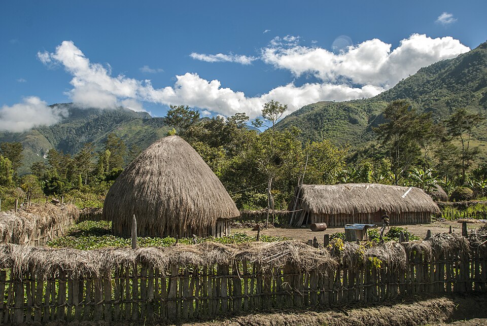 Gambar Rumah Honai, Rumah Adat Papua yang Ternyata Tidak Hanya Dihuni Suku Dani | Wikimedia Commons: Irsam24