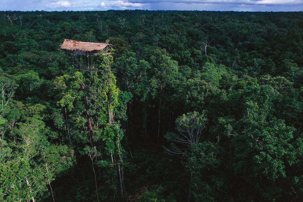 Gambar Rumah Pohon Korowai, Salah Satu Rumah Adat Papua di Pedalaman | George Steinmetz