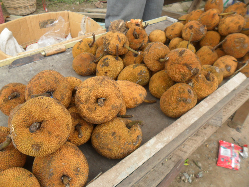Gambar Buah Keledang, Buah Khas Kalimantan Mirip Nangka yang Mulai Langka | Wikimedia Commons @Ezagren