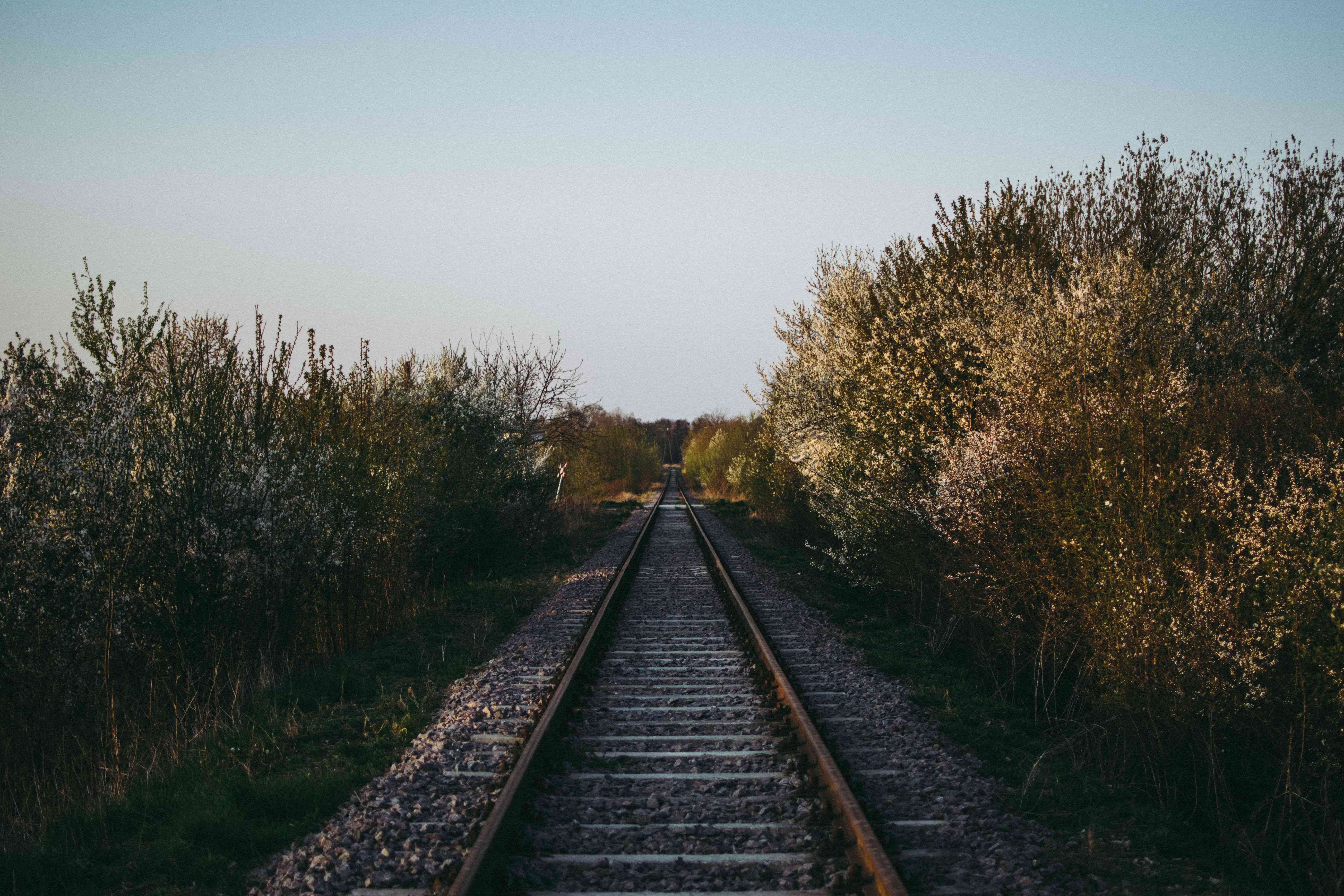 Pexels | Mikołaj Kołodziejczyk