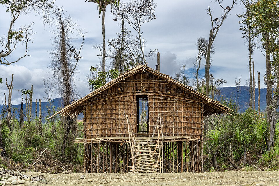 Selain Rumah Honai, Papua Punya Rumah Kaki Seribu atau Mod Aki Aksa sebagai Warisan Budaya | Wikimedia Commons @RaiyaniM