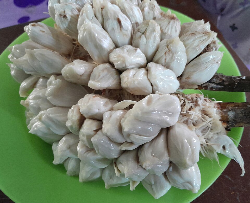 Buah Tarap, Buah Khas Kalimantan Mirip Sukun | Wikimedia Commons @Enziee