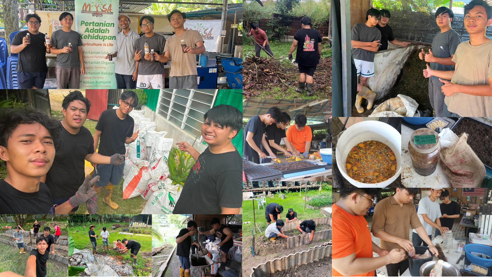 Kolase Kegiatan Agroecology Assistant