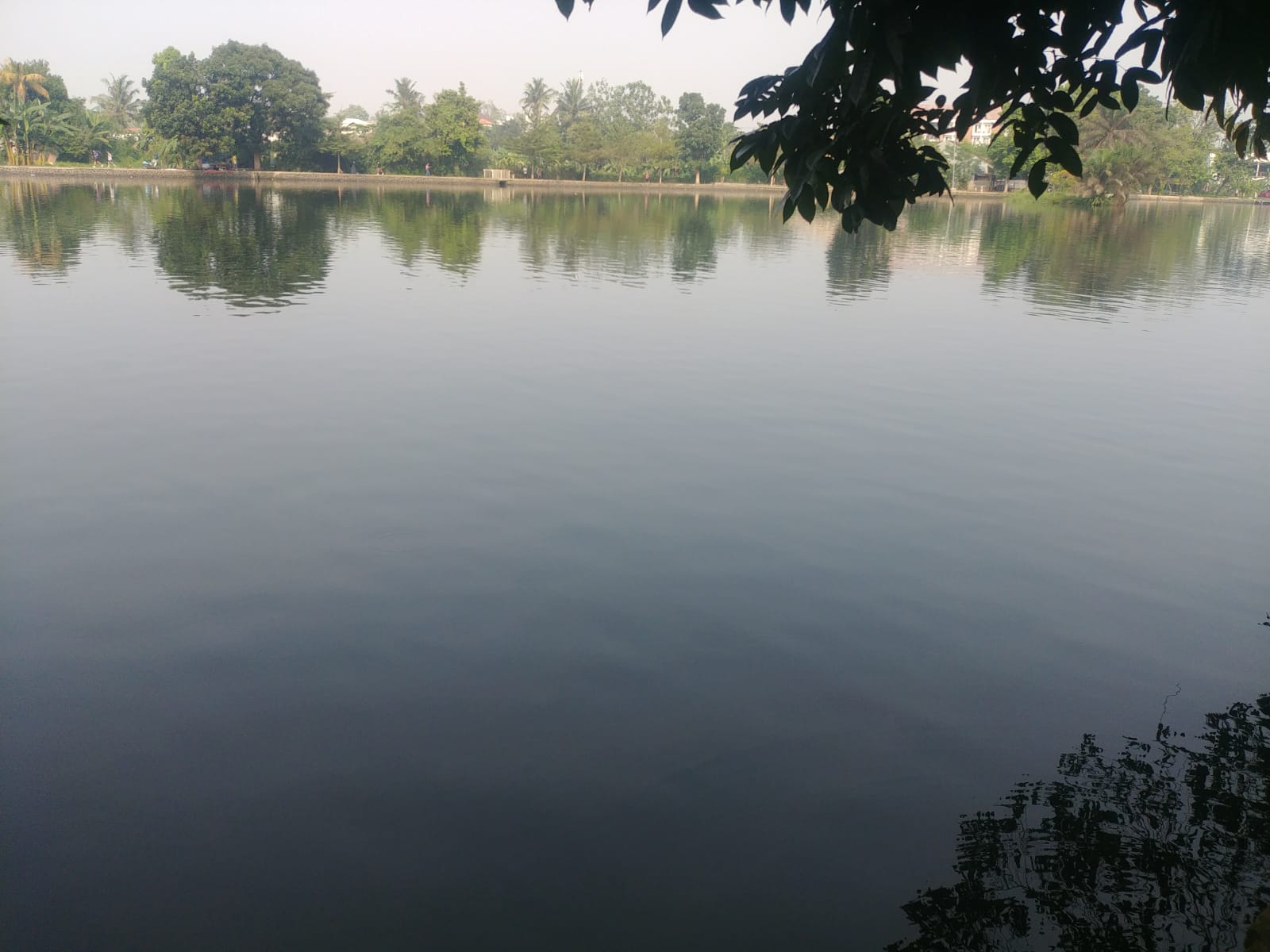 Danau Situ Gede Bogor. Foto: dokumen penulis