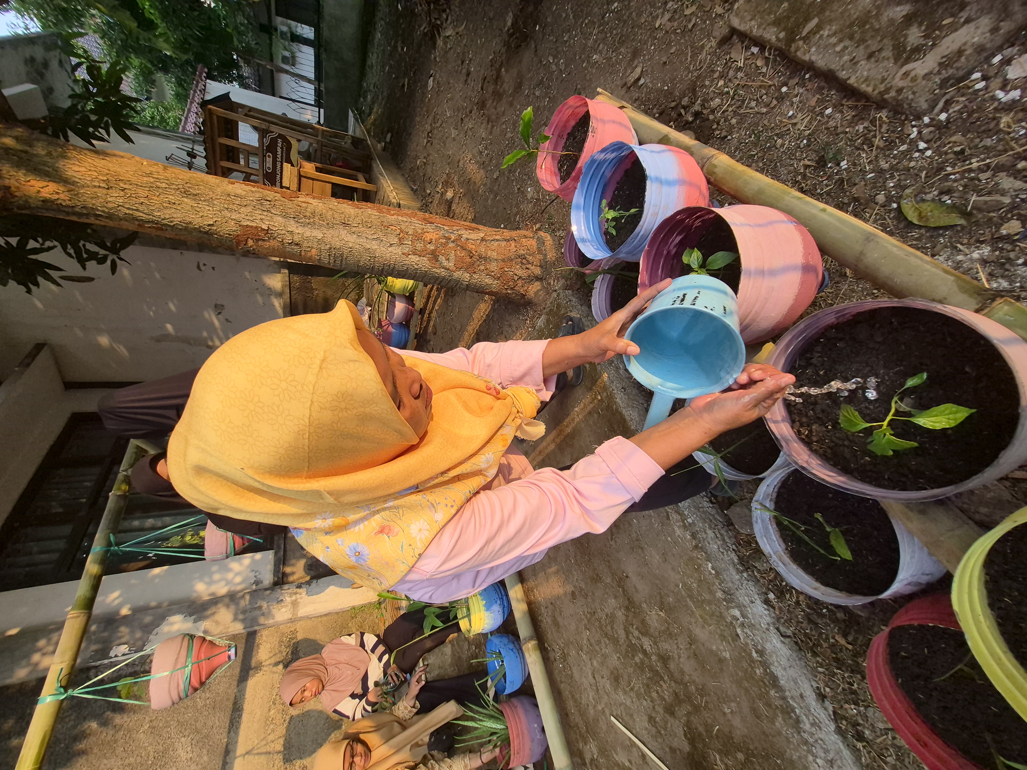 Menata dan menyiram tanaman