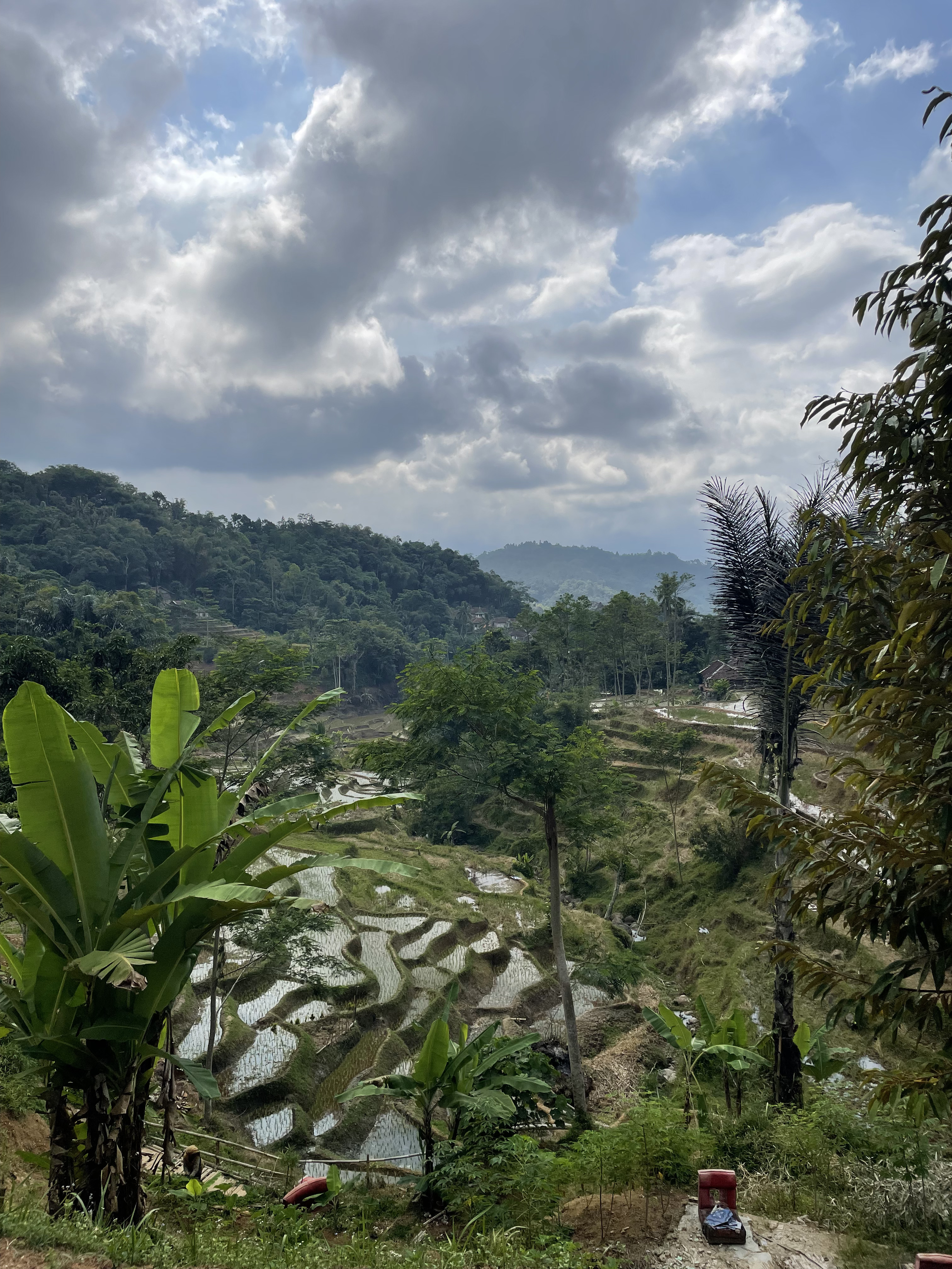 Belajar di tingkat Tapak