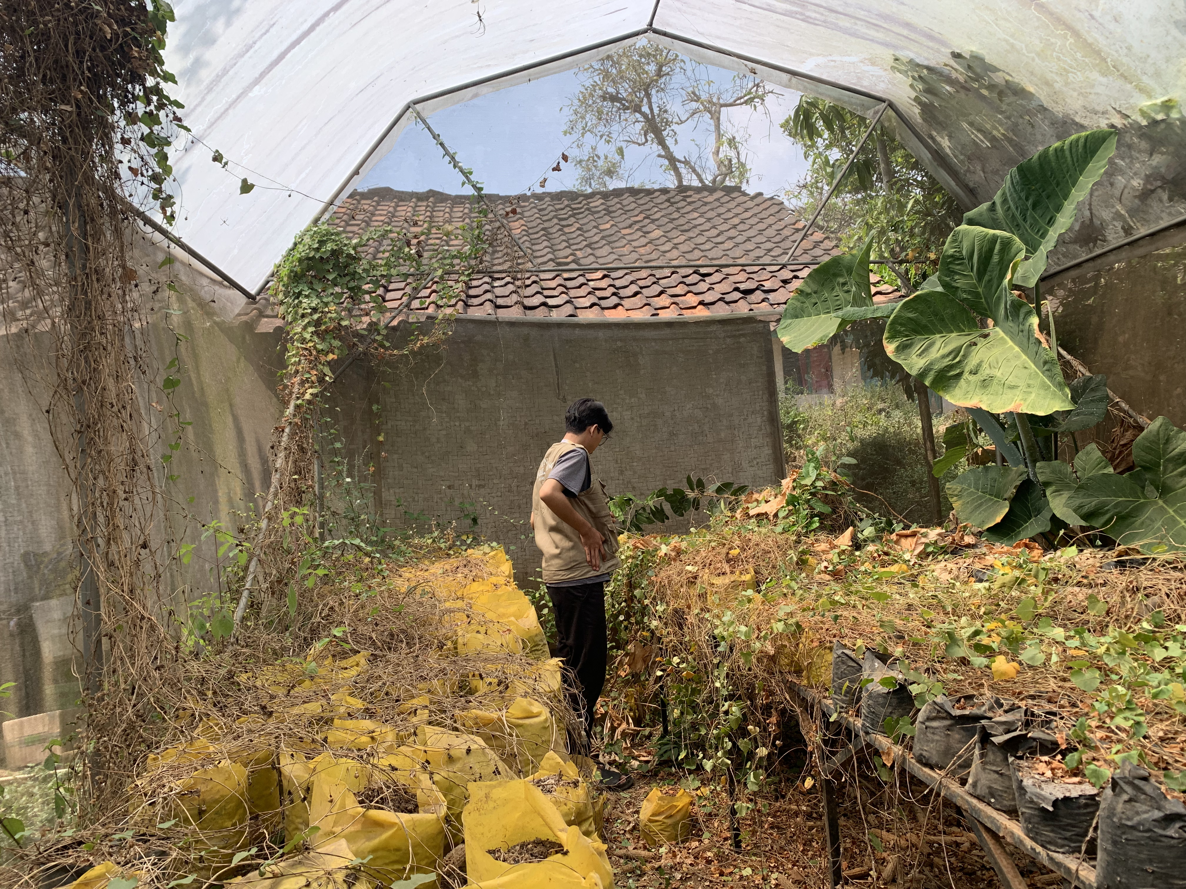 Greenhouse sebelum direvitalisasi (Sumber: Dokumentasi Pribadi)