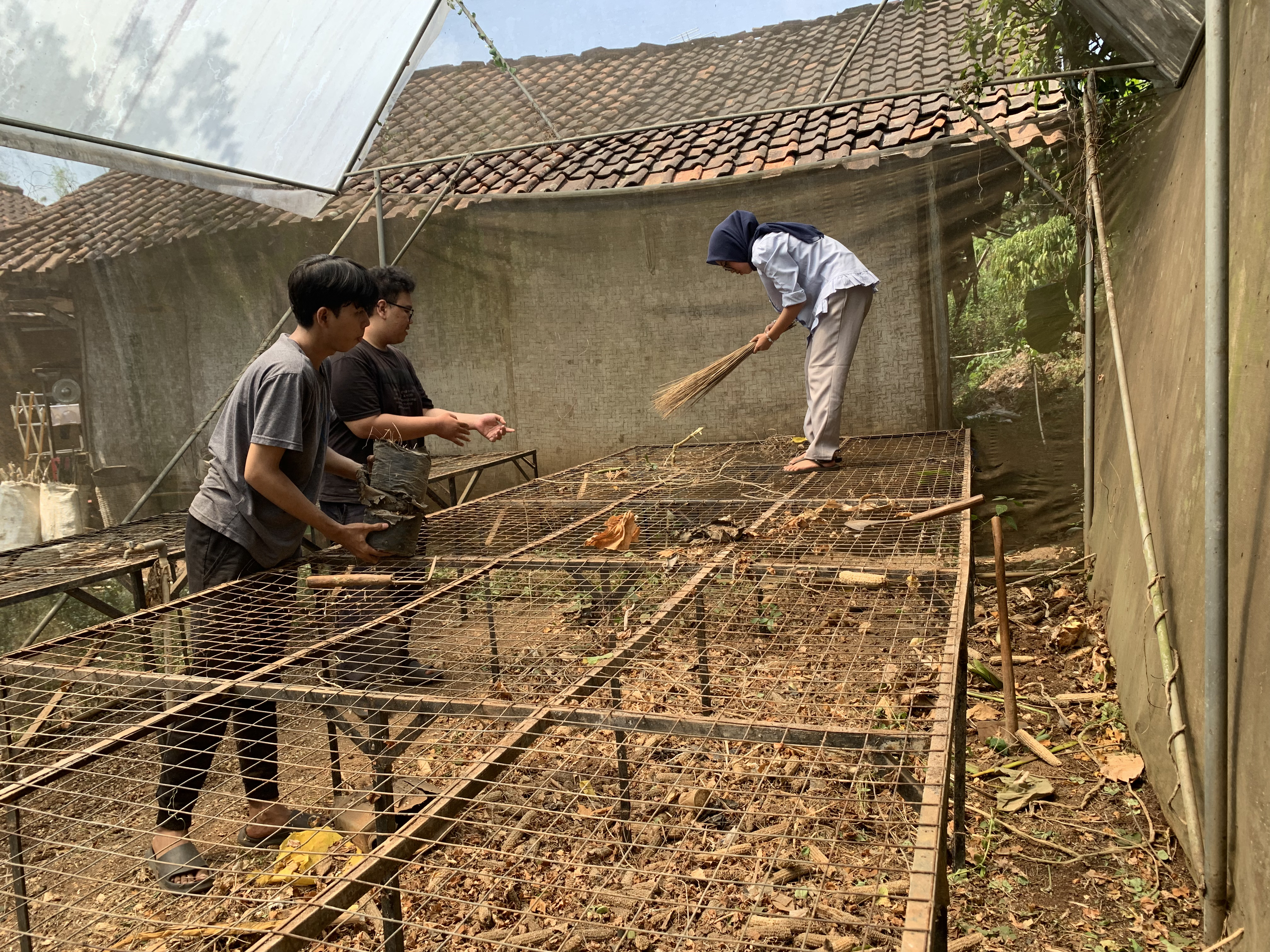 Proses revitalisasi greenhouse (Sumber: Dokumentasi Pribadi)