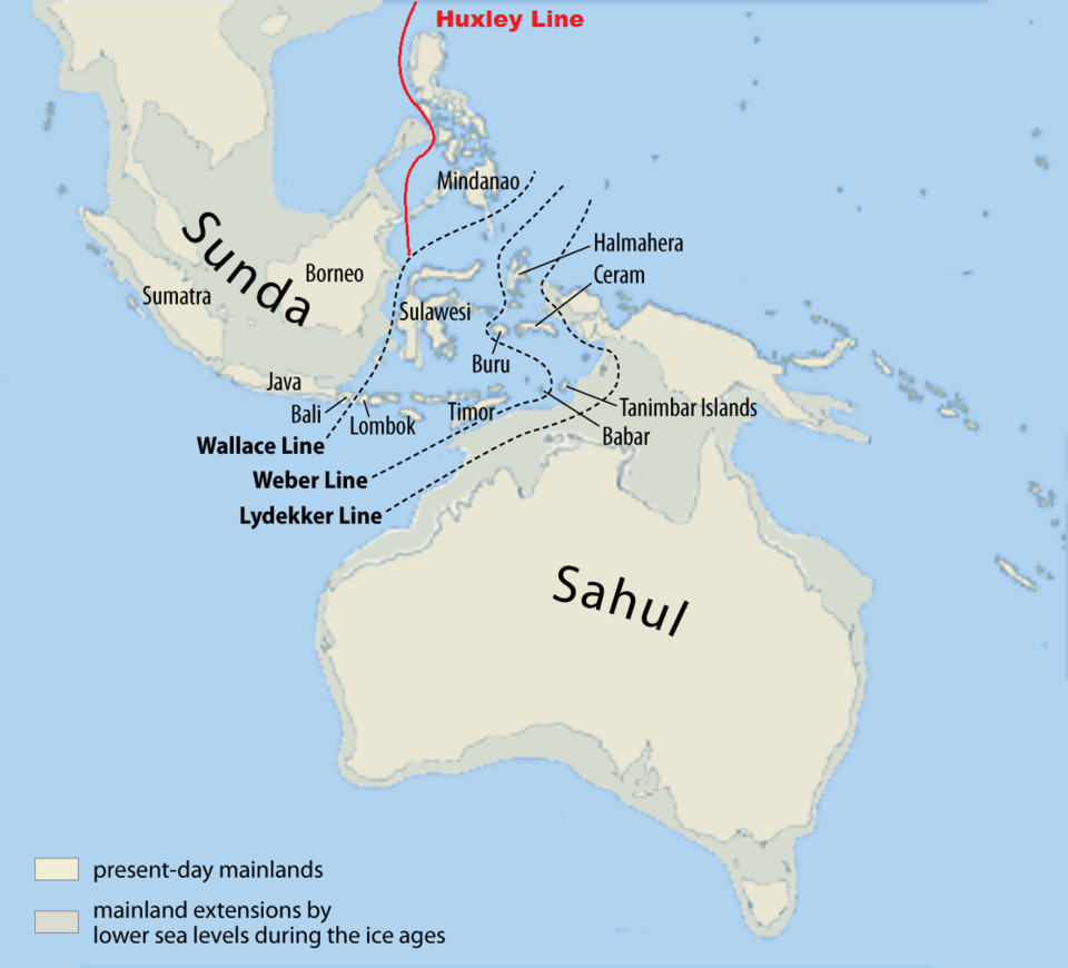 sundaland, sundaland indonesia, sundaland map