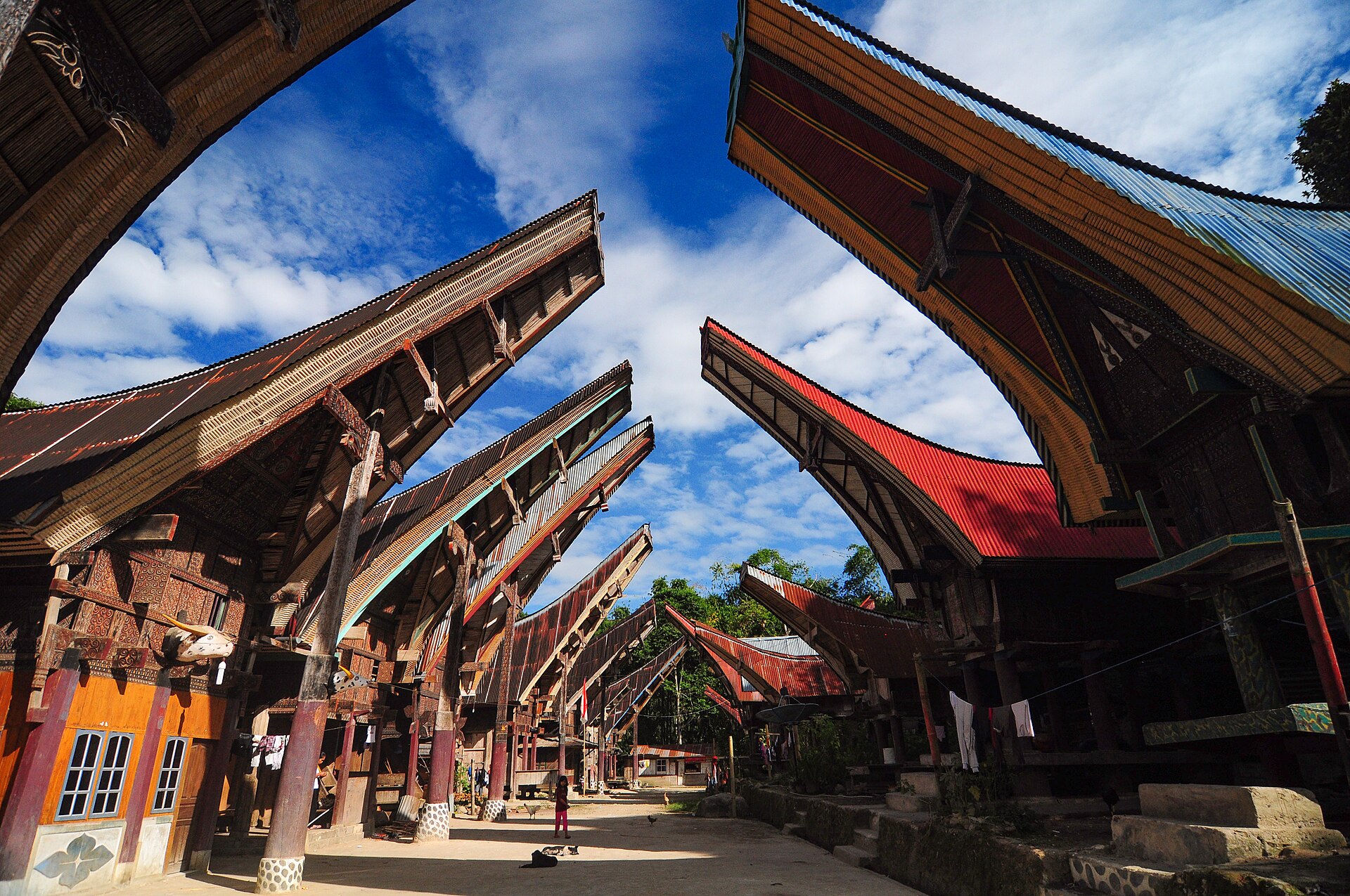 Rumah adat tongkonan Toraja Sulawesi Selatan di desa Baruppu | Sumber: Wikimedia Commons @RaiyaniM