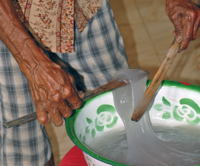 Papeda︱Wikimedia Commons - Rik Schuiling