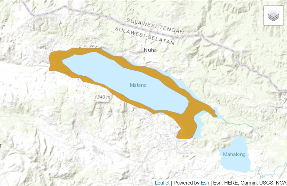 Ikan Opudi (Telmatherina), Ikan Endemik di Danau Matano, Sulawesi yang Belum Masuk Daftar Fauna Dilindungi