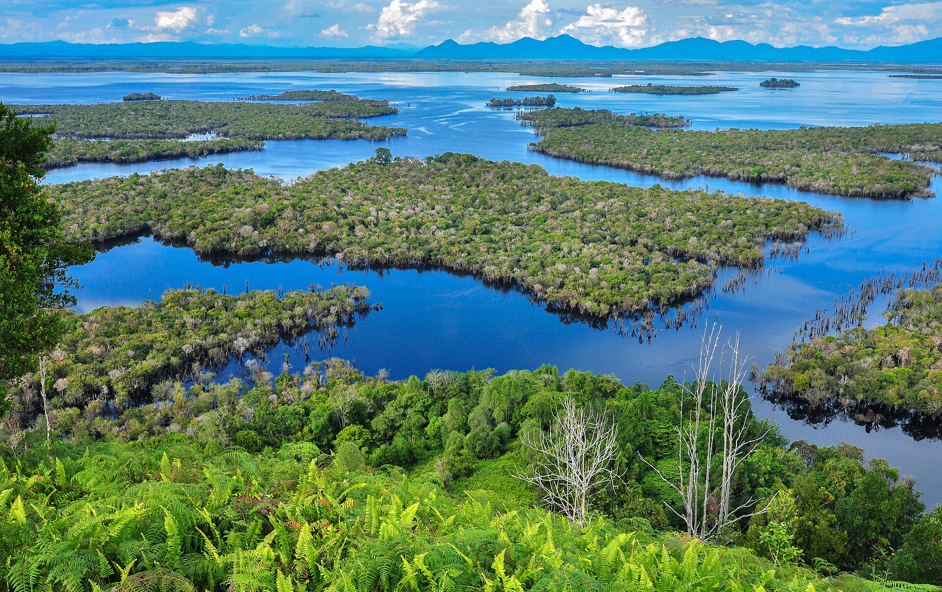 Lahan Basah Taman Nasional Danau Sentarum, Kalimantan Barat | Sumber: Wikimedia Commons @RaiyaniM