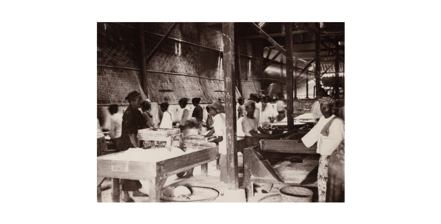Suasana pekerja mengolah singkong menjadi tepung tapioka di sebuah pabrik pengolahan di Jawa Barat, sekitar tahun 1920.