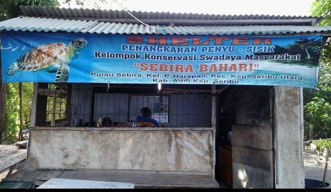 Rumah Penyu Pulau Sabira | Dokumetasi Pribadi