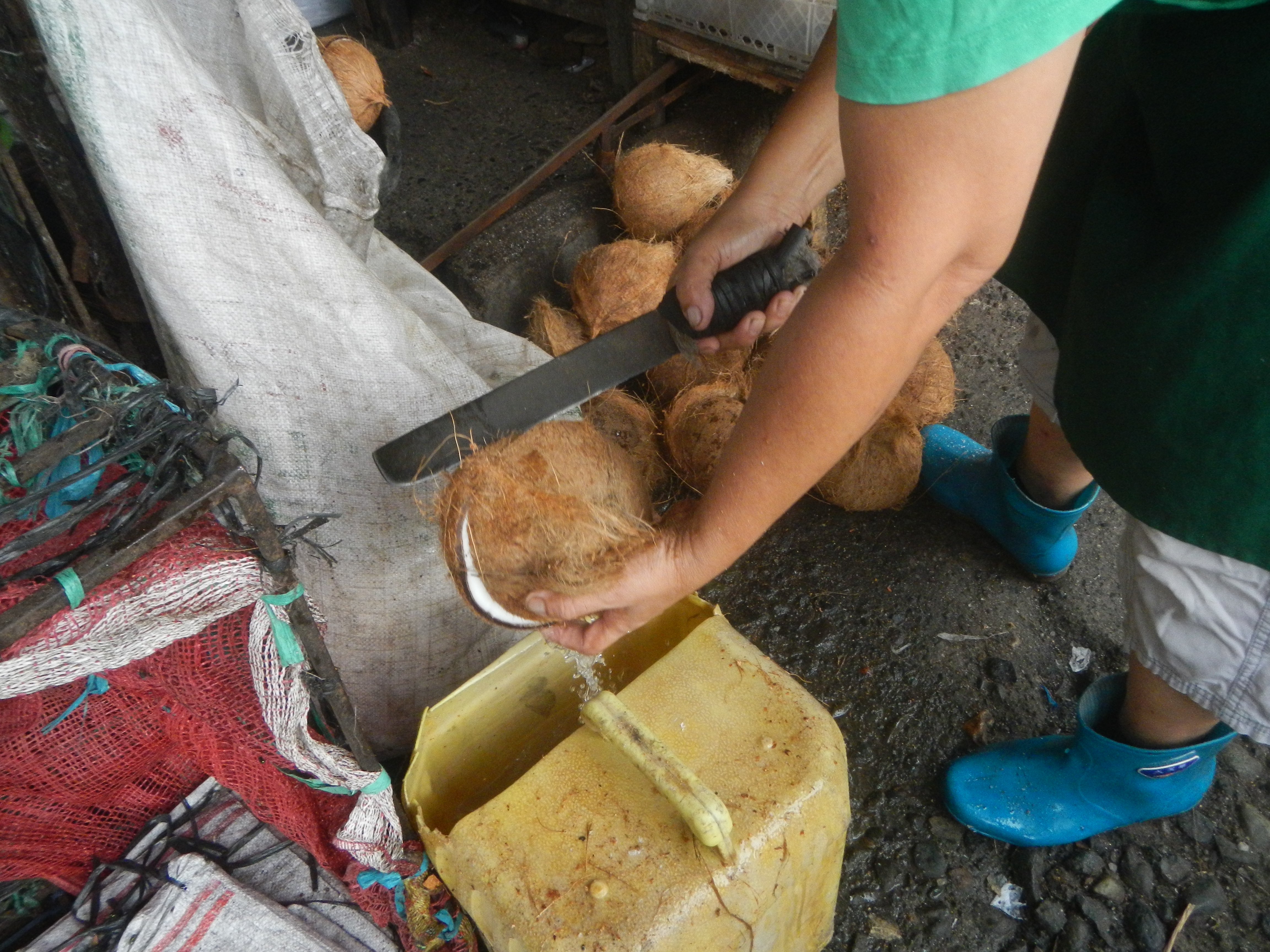 Processing and cooking of coconut healing oil | Foto: Wikimedia Commons | Karya: Judgefloro
