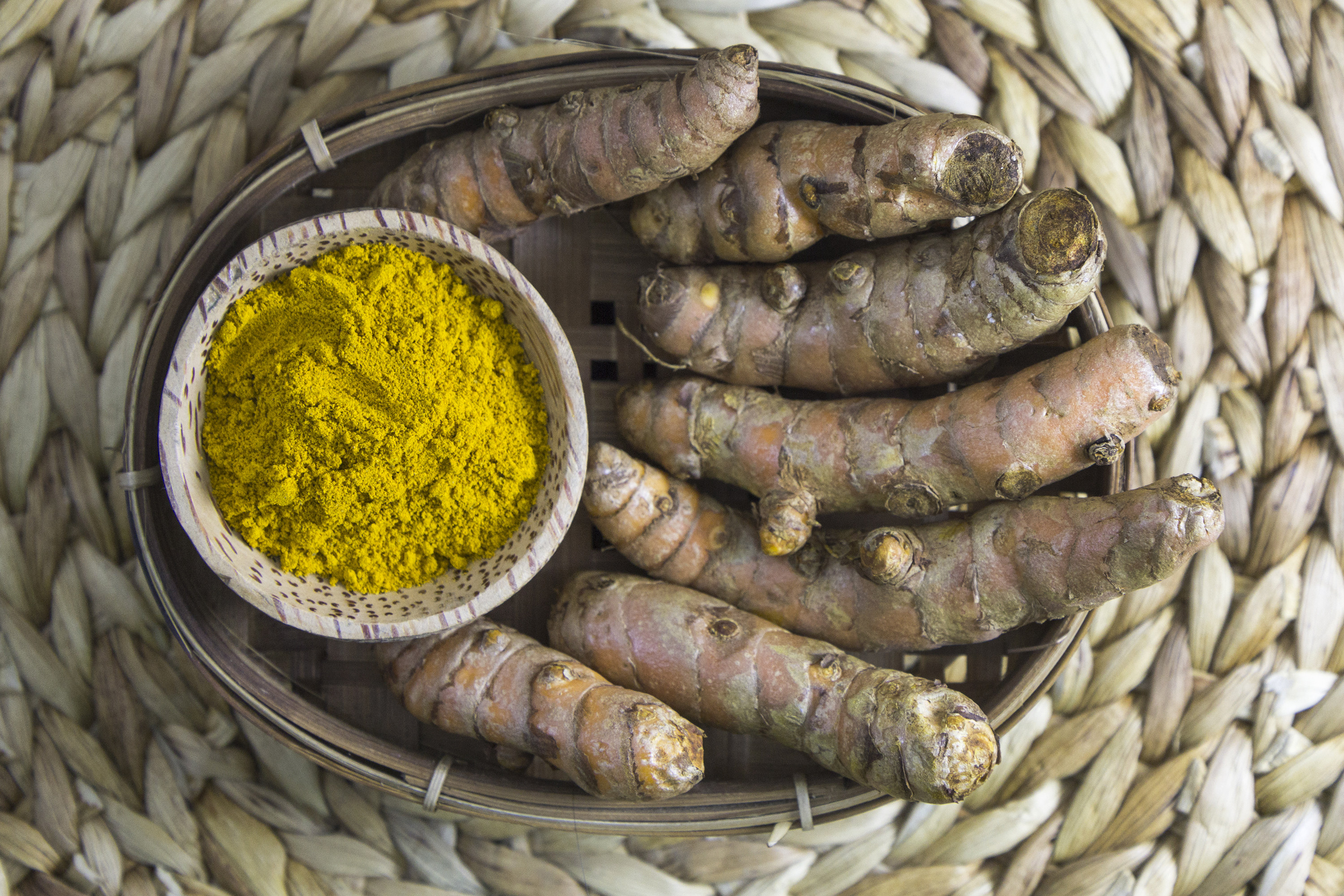 Curcuma Longa | Herusutimbul