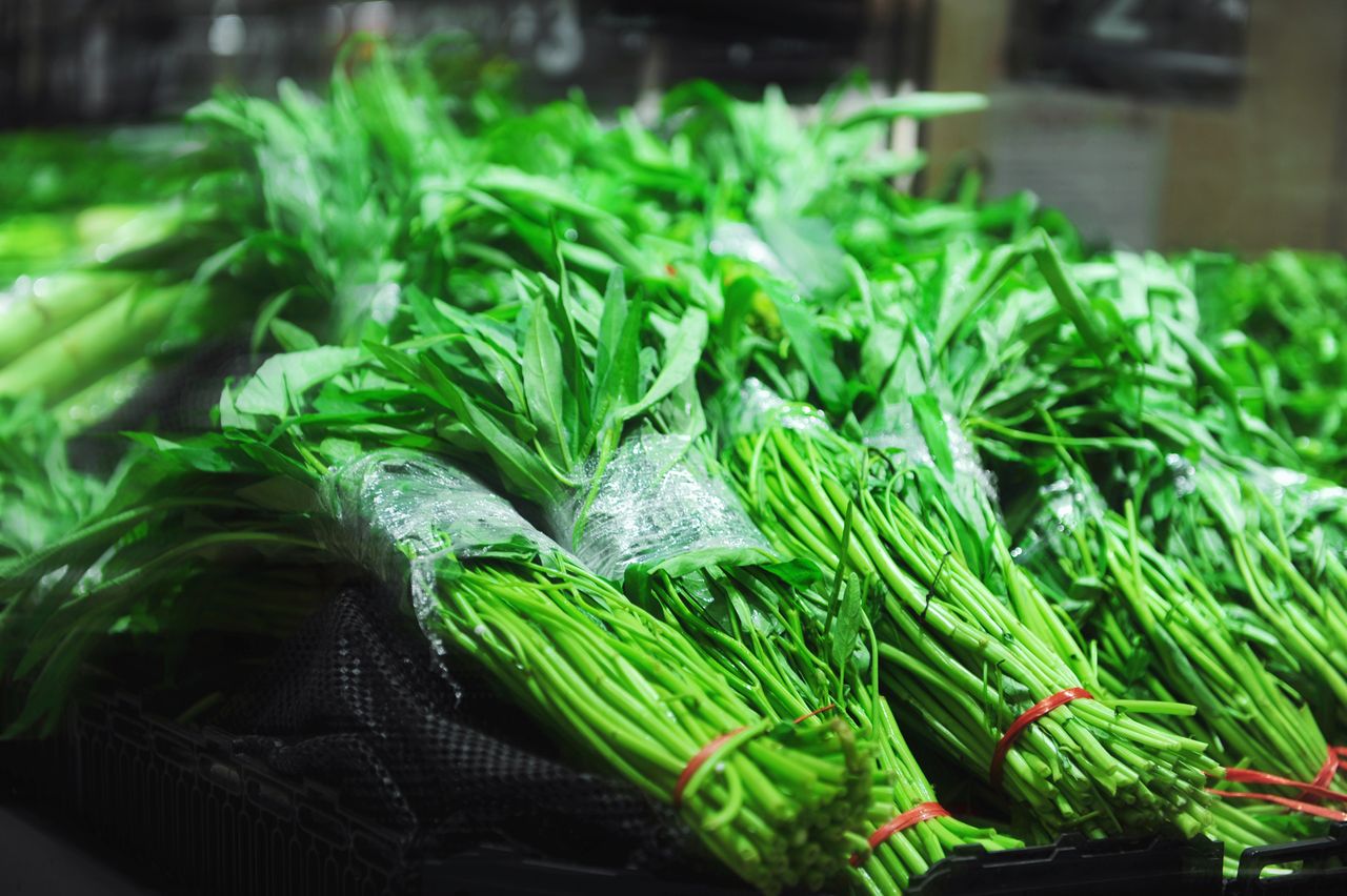 tanaman sayur di musim hujan, kangkung