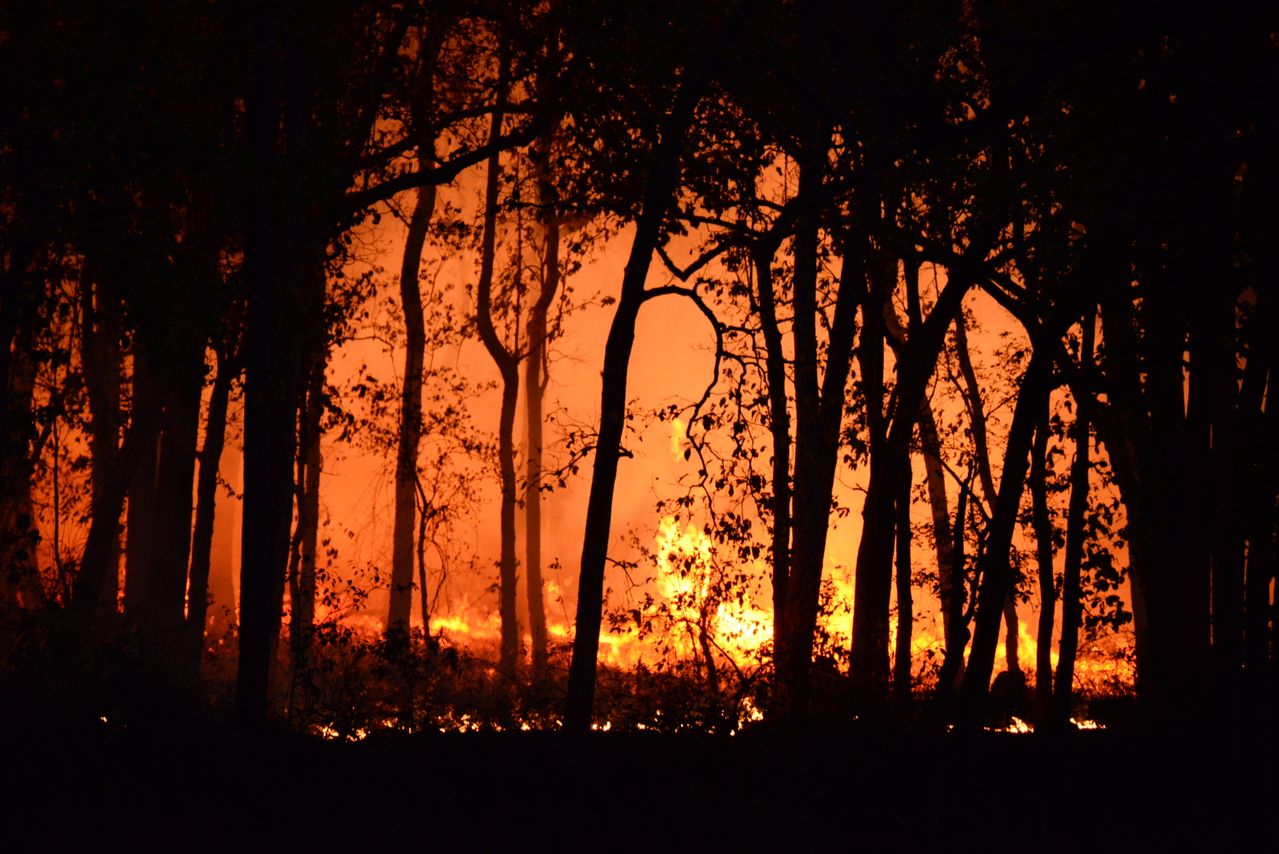 karhutla kalimantan, lahan gambut, kebakaran tanah gambut