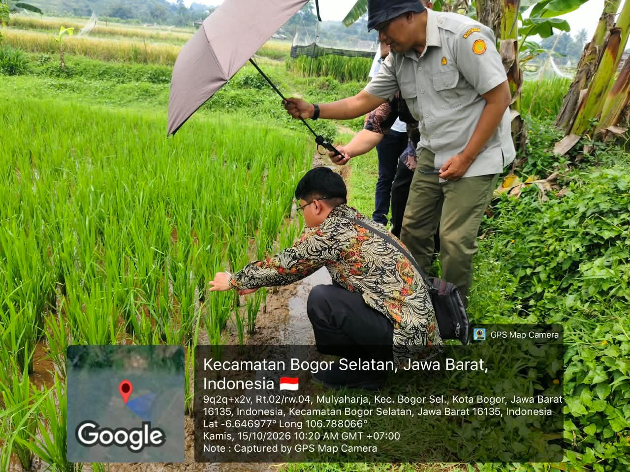 Tim Sekolah Vokasi IPB University saat uji teknologi AI untuk deteksi bagan warna daun dan pemupukan padi Presisi di Mulyaharja Bogor (Sumber Foto: Dok. Medhanita Dewi Renanti)