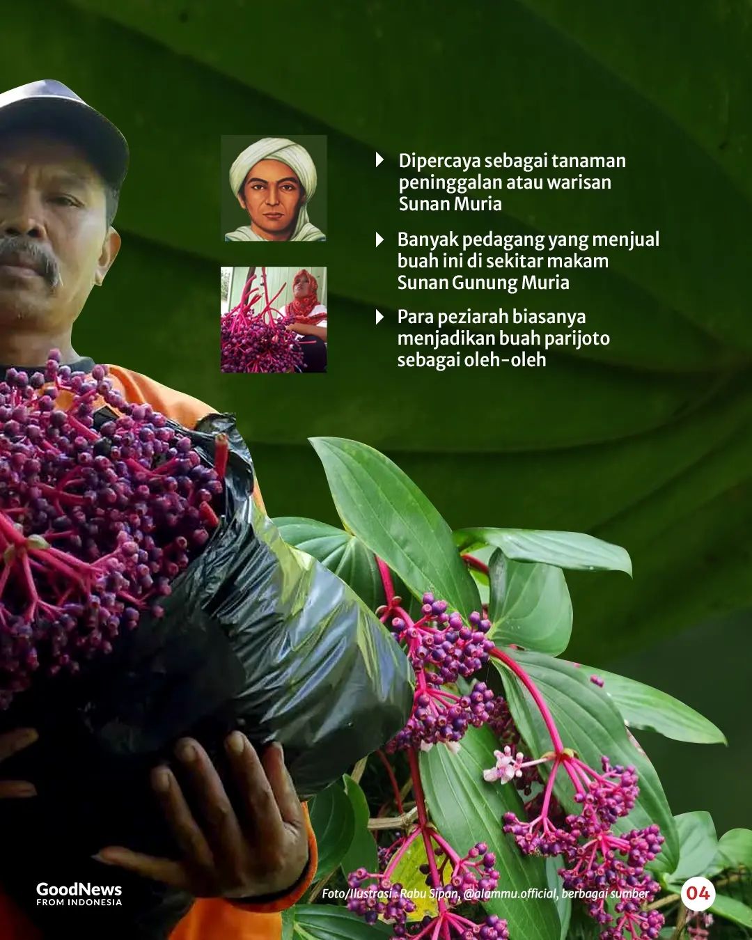 Buah Parijoto, Warisan Sunan Muria Yang Kaya Manfaat
