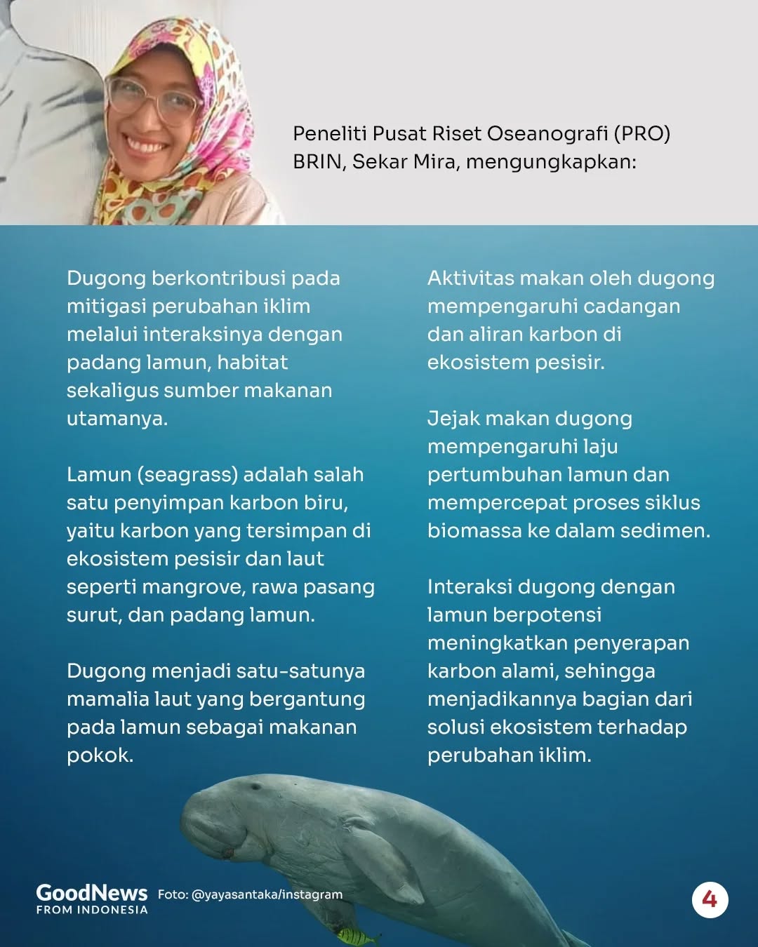 Dugong, Mamalia Laut yang Bisa Menyimpan Karbon