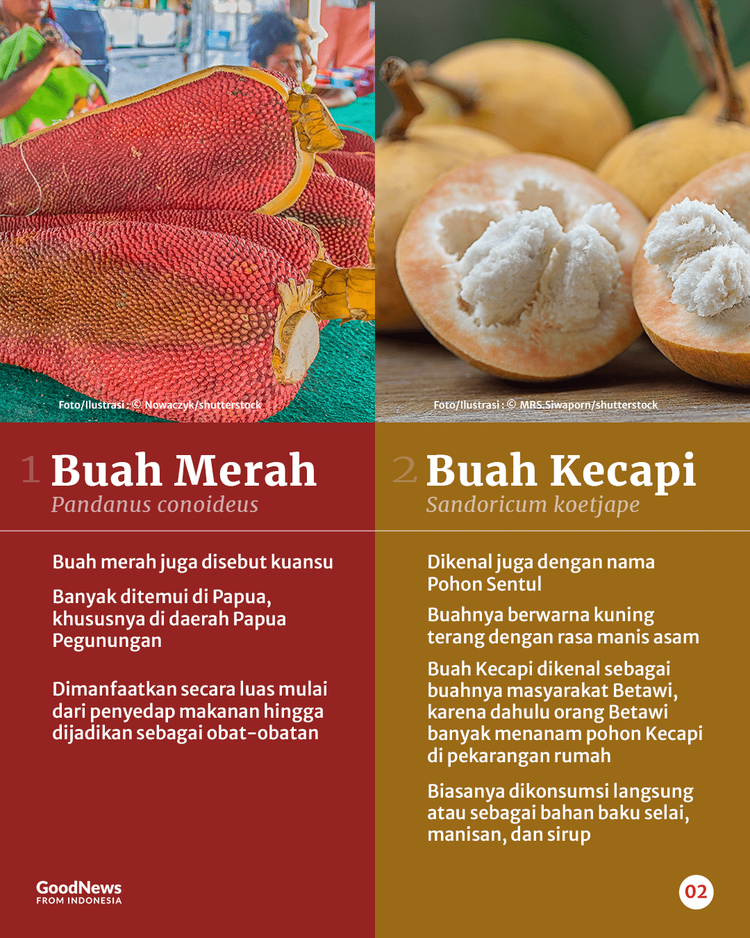 10 Buah Unik di Indonesia yang Wajib Kamu Coba