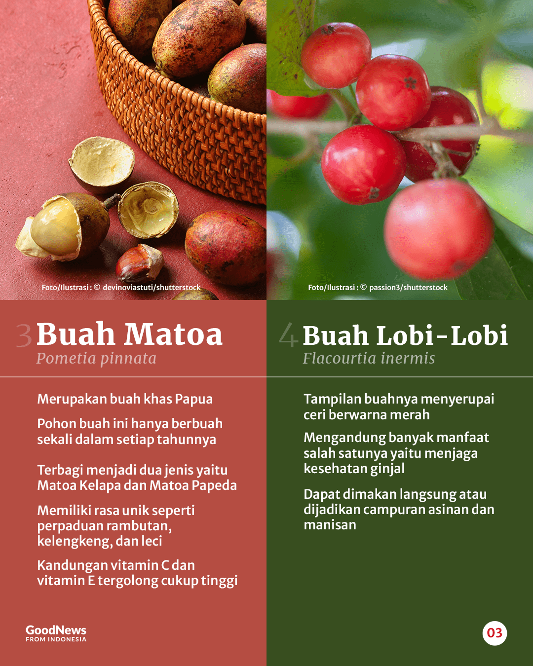 10 Buah Unik di Indonesia yang Wajib Kamu Coba