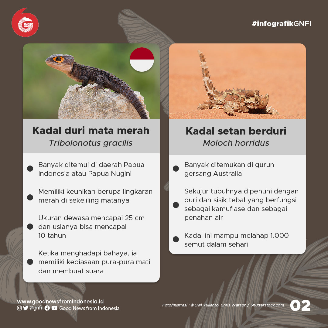 10 Kadal Paling Unik di Dunia, 3 dari Indonesia