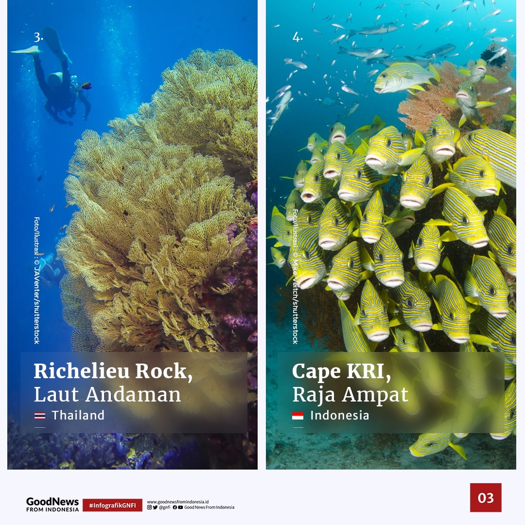 12 Tempat Diving Terbaik di Asia-Oseania