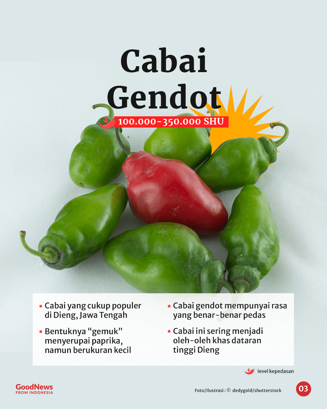 Bukan Rawit, Ini 5 Cabai Terpedas di Indonesia