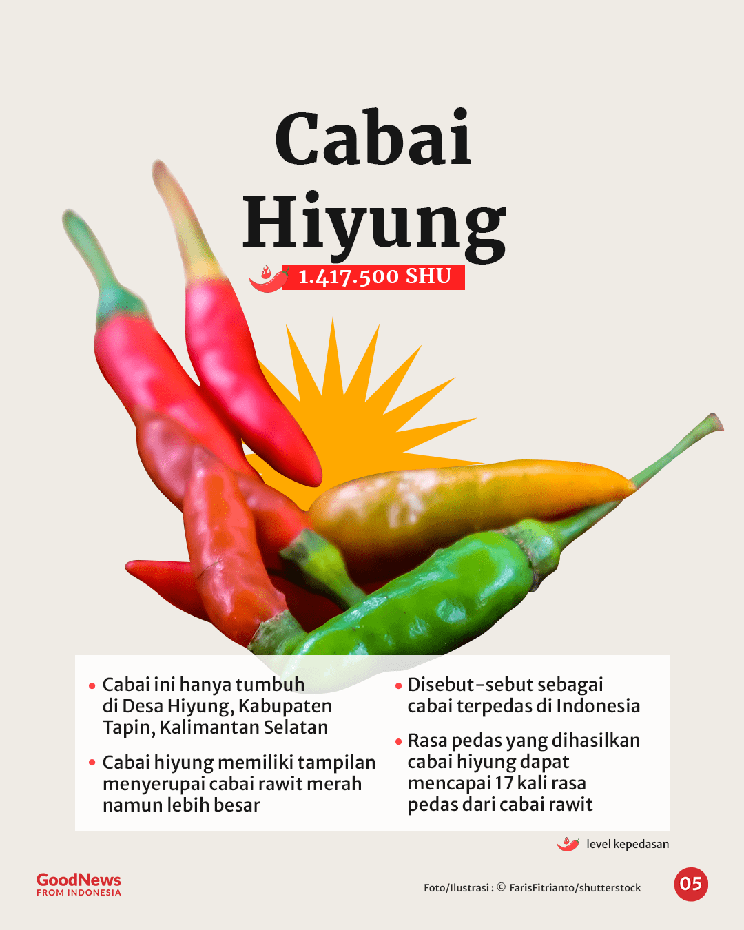 Bukan Rawit, Ini 5 Cabai Terpedas di Indonesia