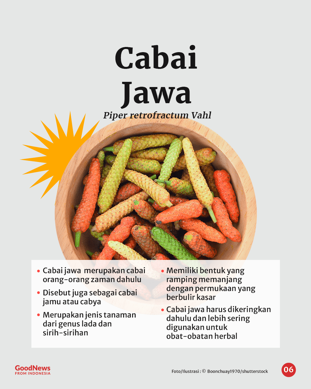 Bukan Rawit, Ini 5 Cabai Terpedas di Indonesia