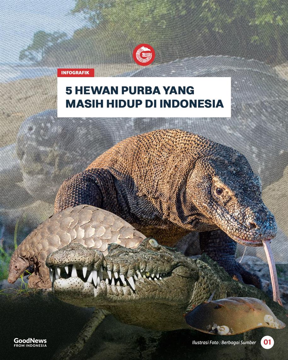 5 Hewan Purba yang Masih Hidup di Indonesia