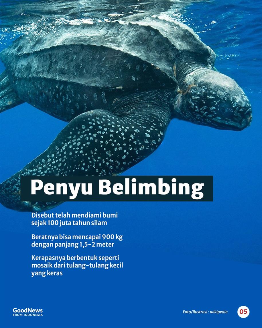 5 Hewan Purba yang Masih Hidup di Indonesia