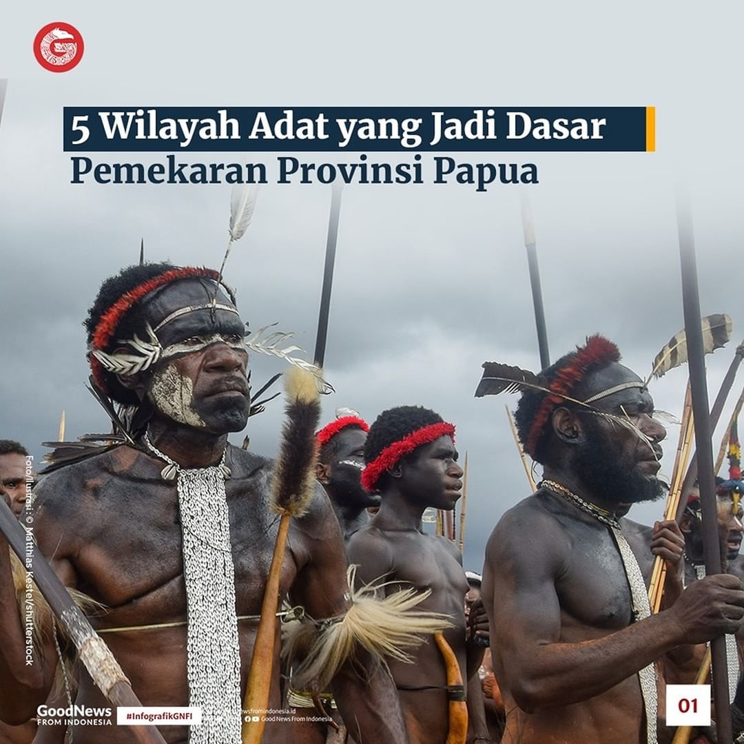 5 Wilayah Adat yang Jadi Dasar Pemekaran Provinsi Papua