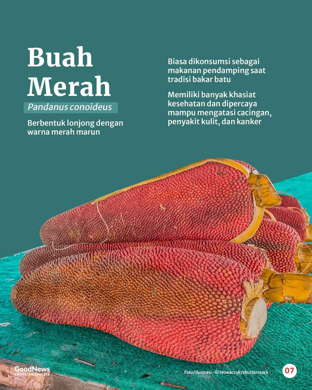 Mengenal 6 Jenis Buah Unik Asal Pedalaman Papua