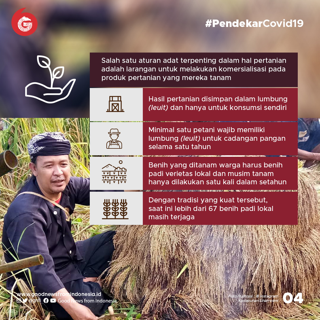 Abah Asep Nugraha, Penjaga Tradisi dan Daulat Pangan Kasepuhan Sinaresmi saat Pandemi