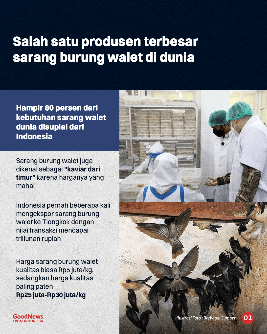 Asal Usul Sarang Burung Walet, Kuliner Indonesia yang Dihargai Triliunan Rupiah