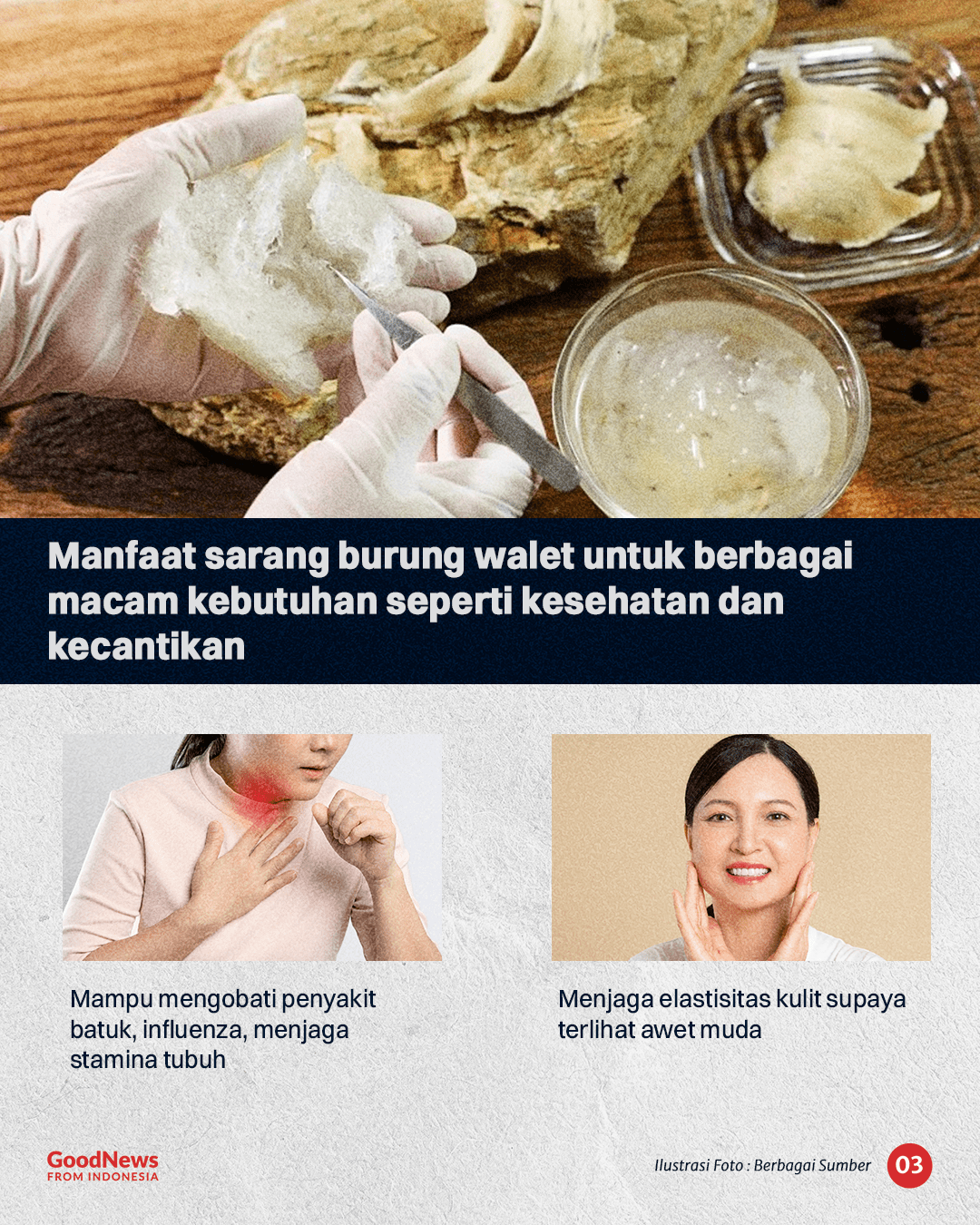 Asal Usul Sarang Burung Walet, Kuliner Indonesia yang Dihargai Triliunan Rupiah
